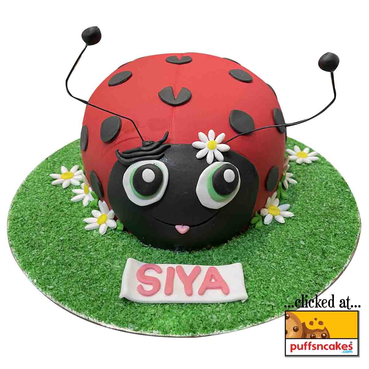 (1295) Lady Bug Theme Fondant Cake